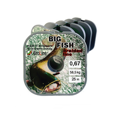 BIG FISH 8x Dyn. 0,55mm 25m